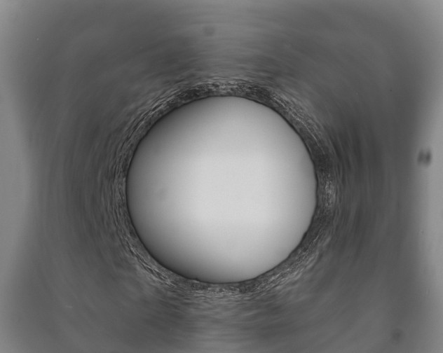 X0000091460865200708161105