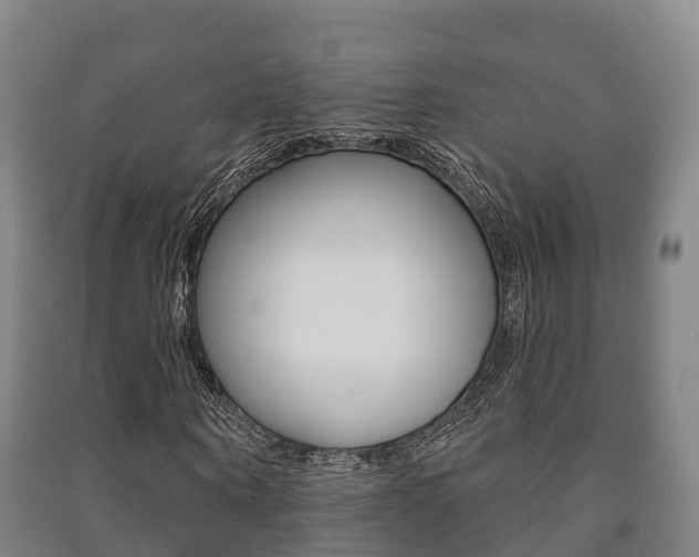 X0000091460866200708161105