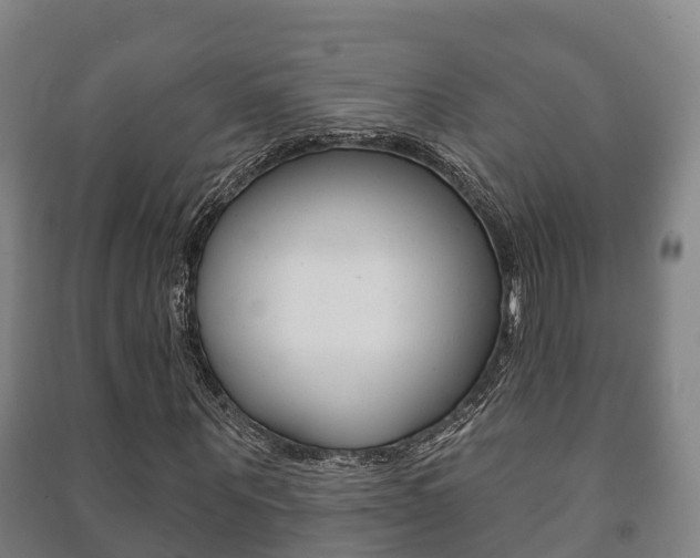 X0000091460867200708161105