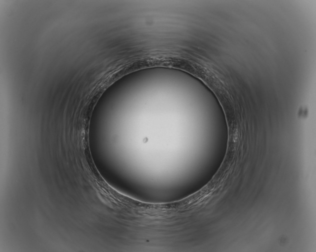 X0000091460868200708161105