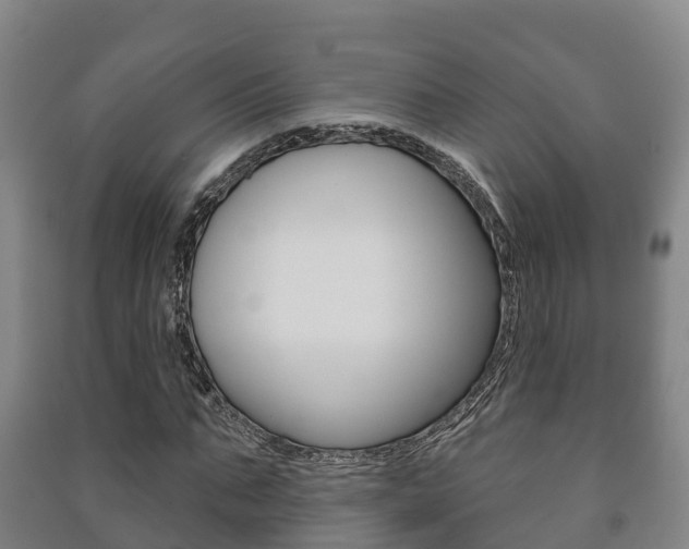X0000091460871200708161105