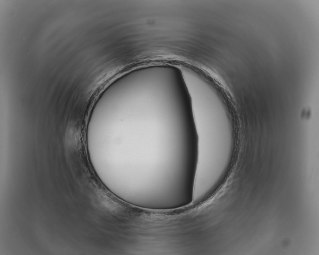 X0000091460873200708161105