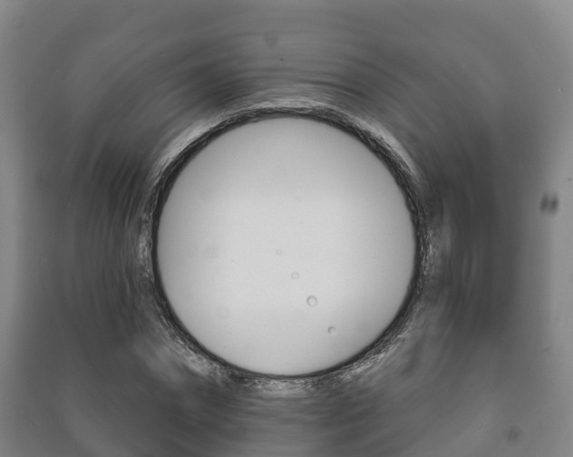 X0000091460874200708161105