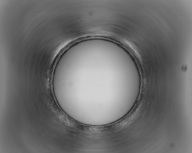X0000091460875200708161105