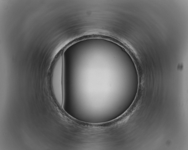 X0000091460877200708161105