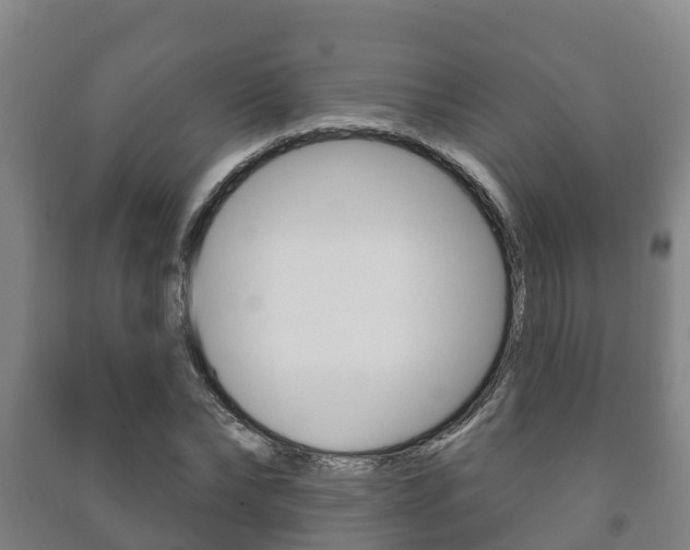 X0000091460878200708161105