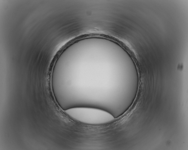 X0000091460879200708161105