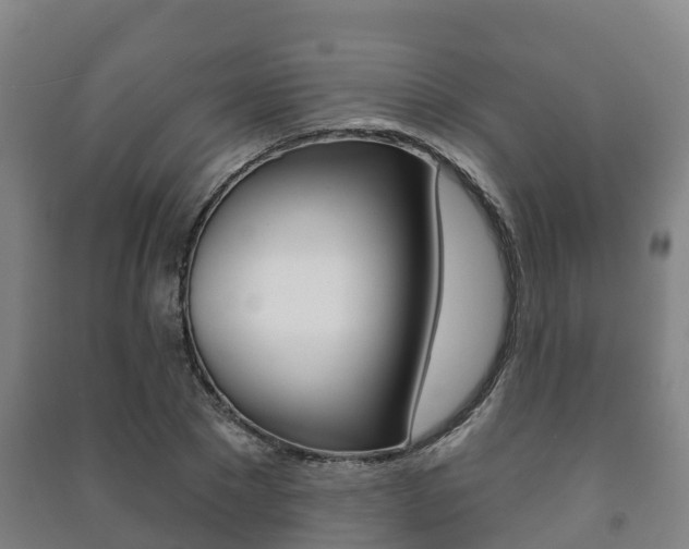 X0000091460881200708161105