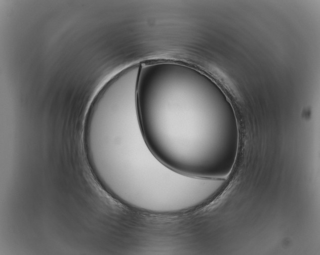 X0000091460884200708161105