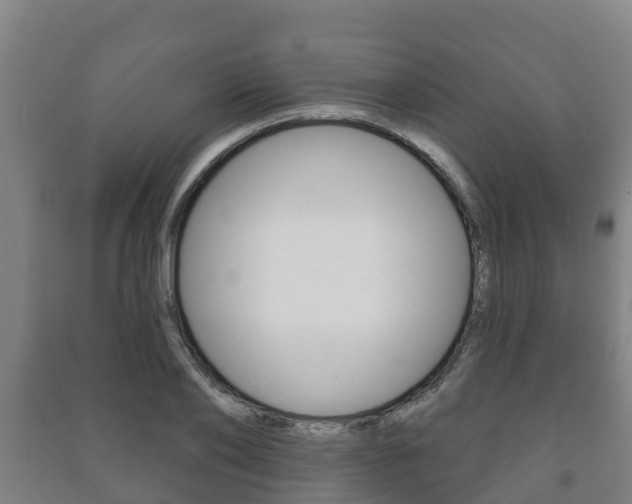 X0000091460886200708161105
