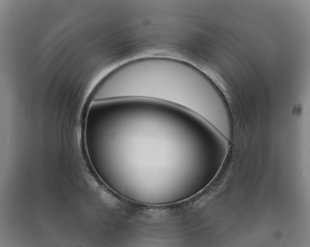 X0000091460888200708161105