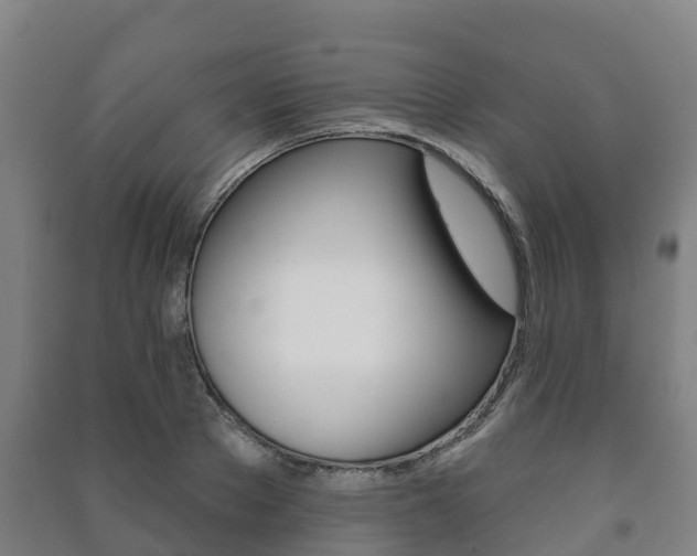 X0000091460889200708161105