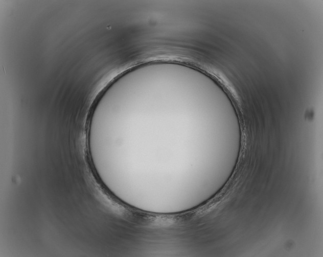 X0000091460890200708161105