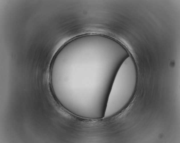 X0000091460891200708161105