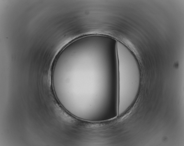 X0000091460892200708161105