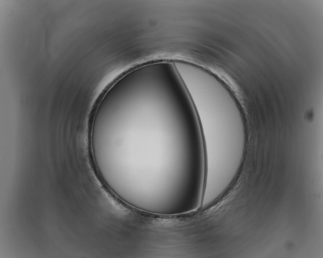 X0000091460894200708161105