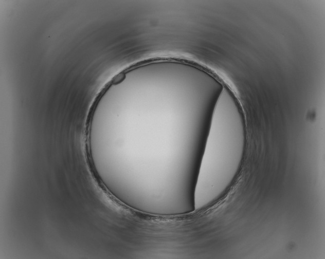 X0000091460895200708161105