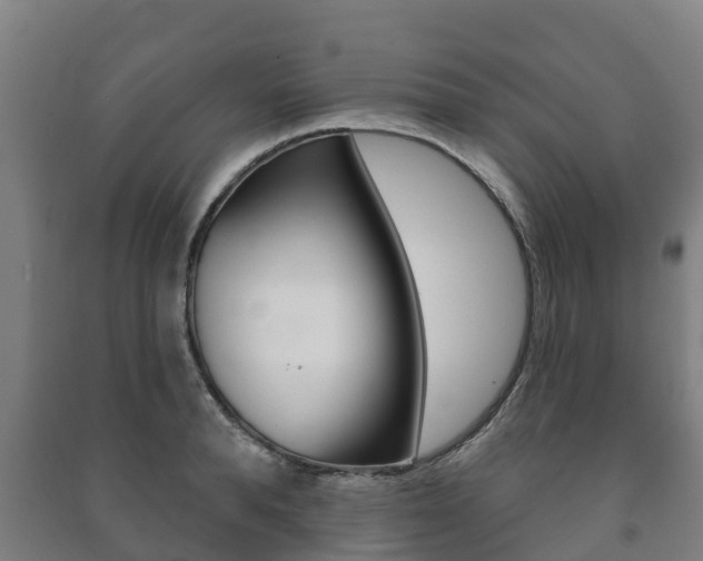 X0000091460896200708161105