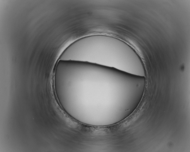 X0000091460899200708161104