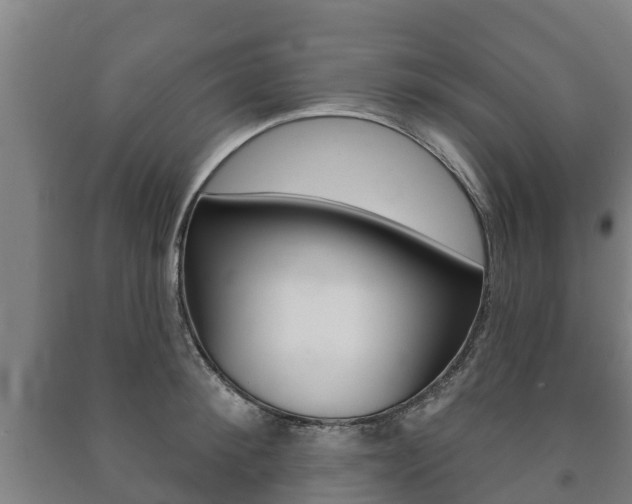 X0000091460900200708161104