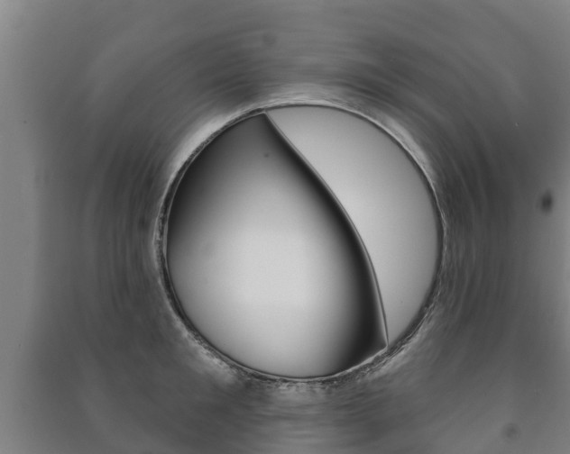 X0000091460901200708161104