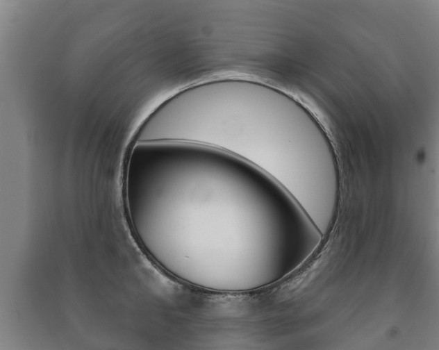 X0000091460902200708161104