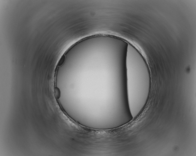X0000091460903200708161104
