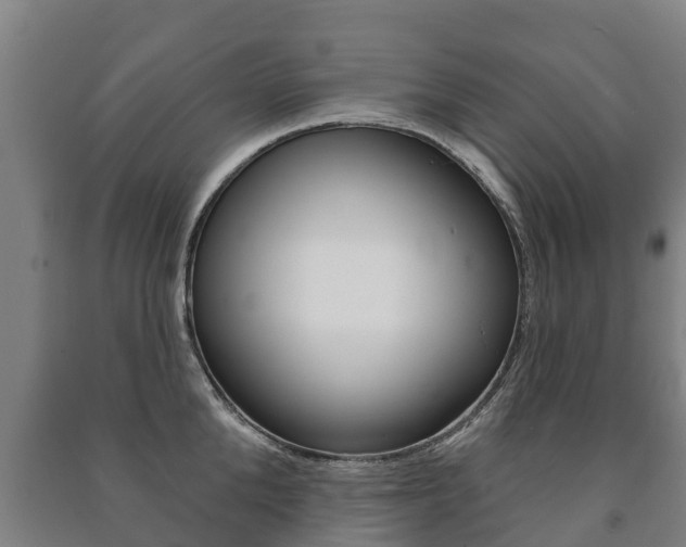 X0000091460904200708161104