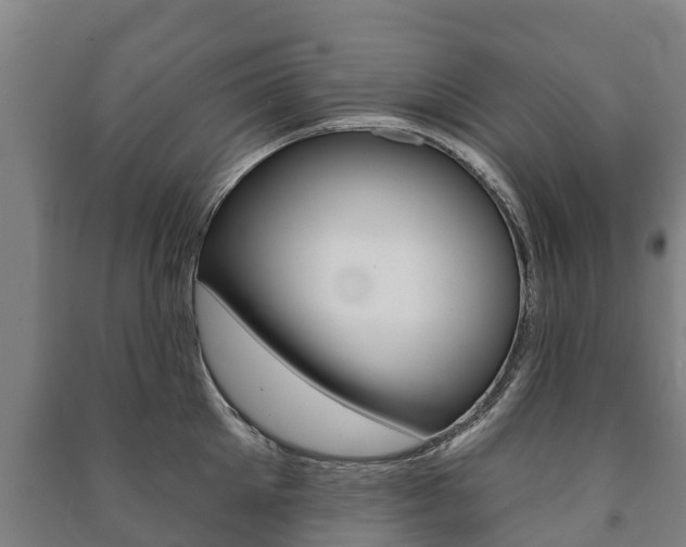 X0000091460905200708161104