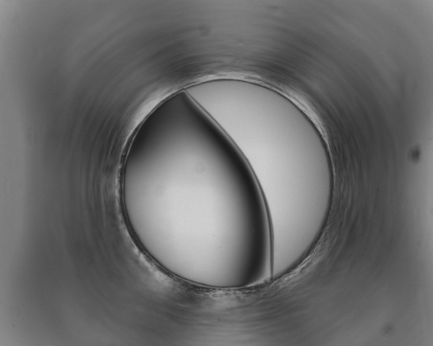 X0000091460906200708161104