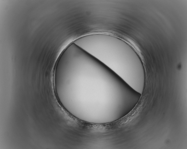 X0000091460907200708161104