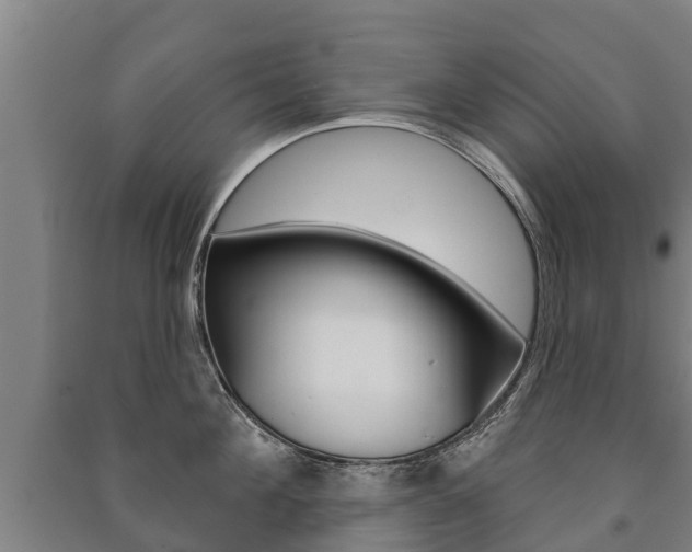 X0000091460908200708161104