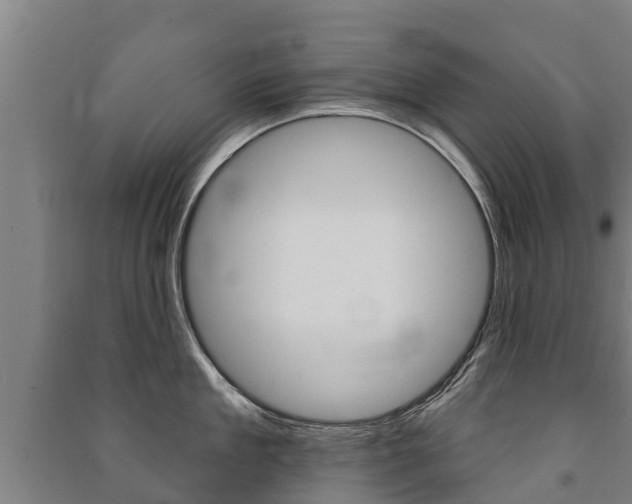 X0000091460909200708161104