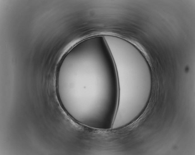 X0000091460910200708161104