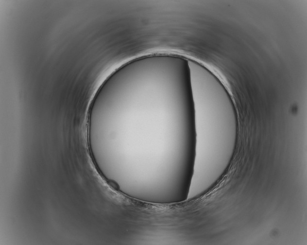 X0000091460911200708161104