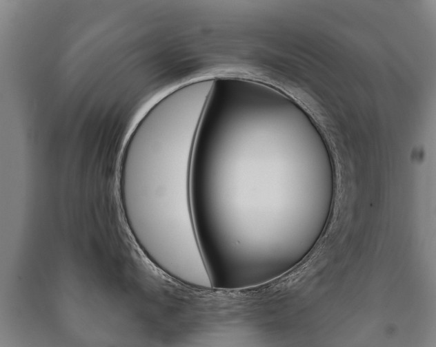 X0000091460912200708161104