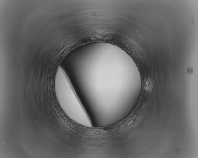 X0000091460915200708161104