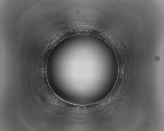 X0000091460916200708161104