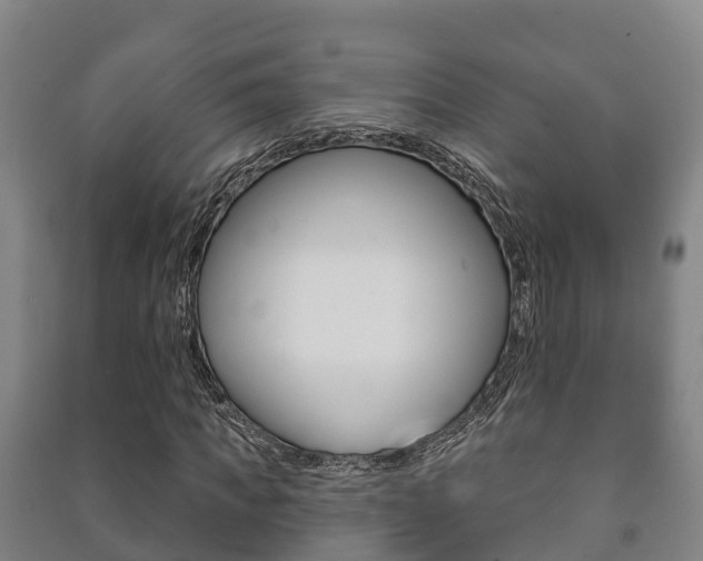 X0000091460917200708161104
