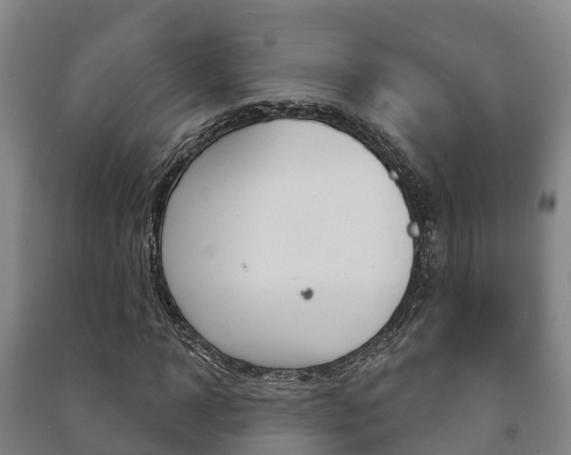 X0000091460918200708161104