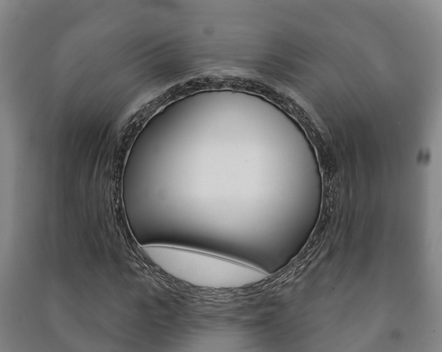 X0000091460919200708161104
