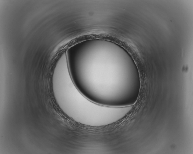 X0000091460920200708161104