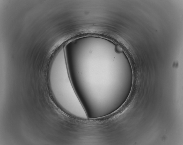 X0000091460922200708161104