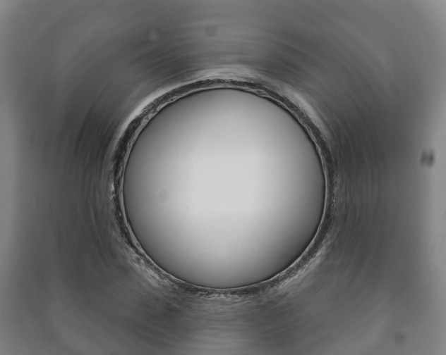 X0000091460923200708161104