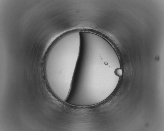 X0000091460926200708161104