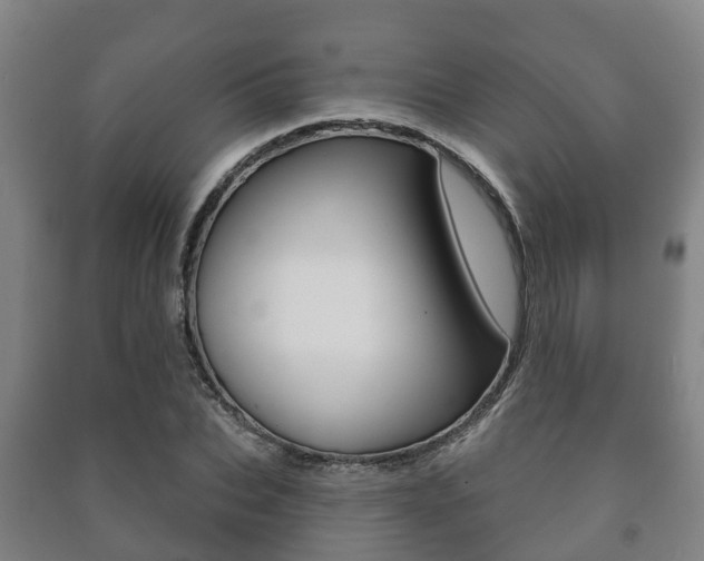 X0000091460927200708161104