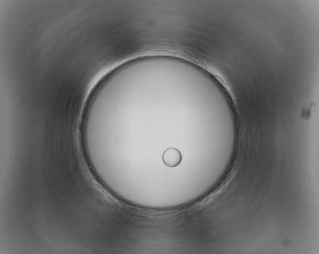 X0000091460928200708161104