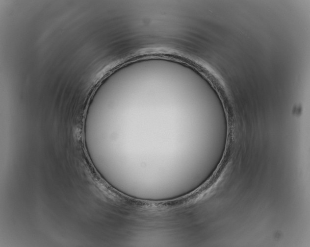 X0000091460929200708161104