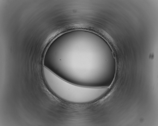 X0000091460930200708161104