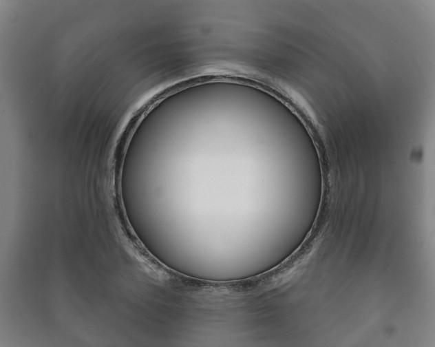 X0000091460931200708161104
